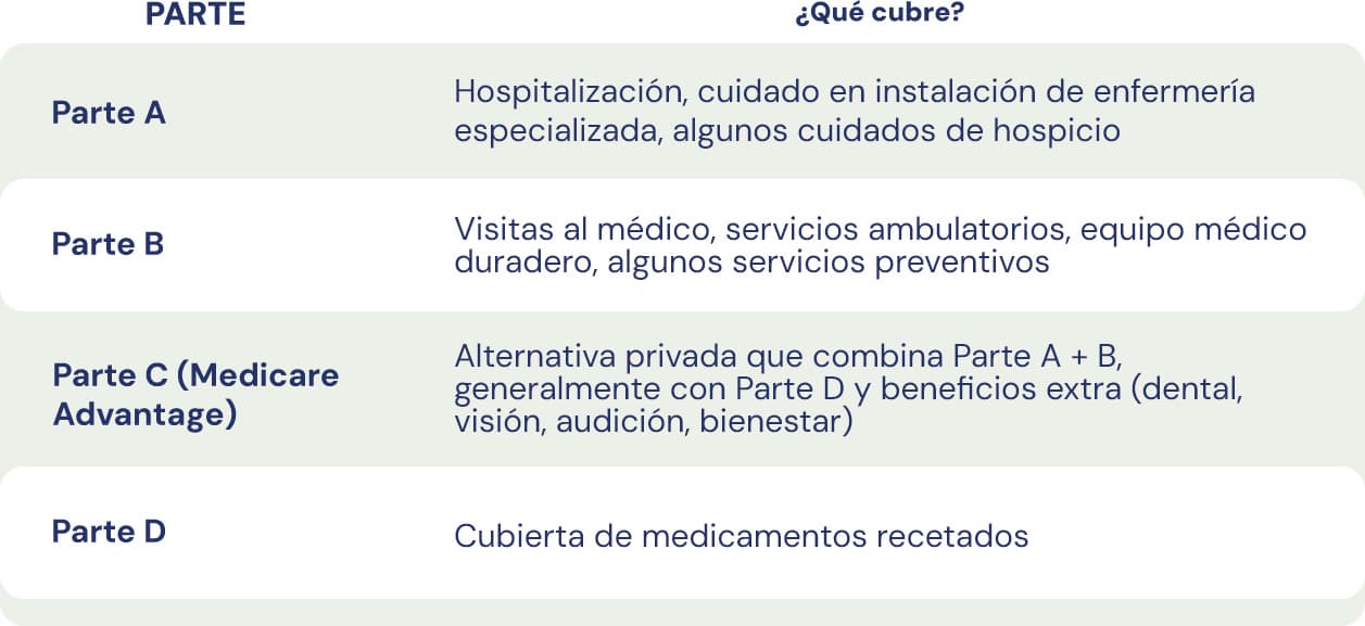 Documento con las 4 partes de Medicare (A, B, C, D) explicado en español